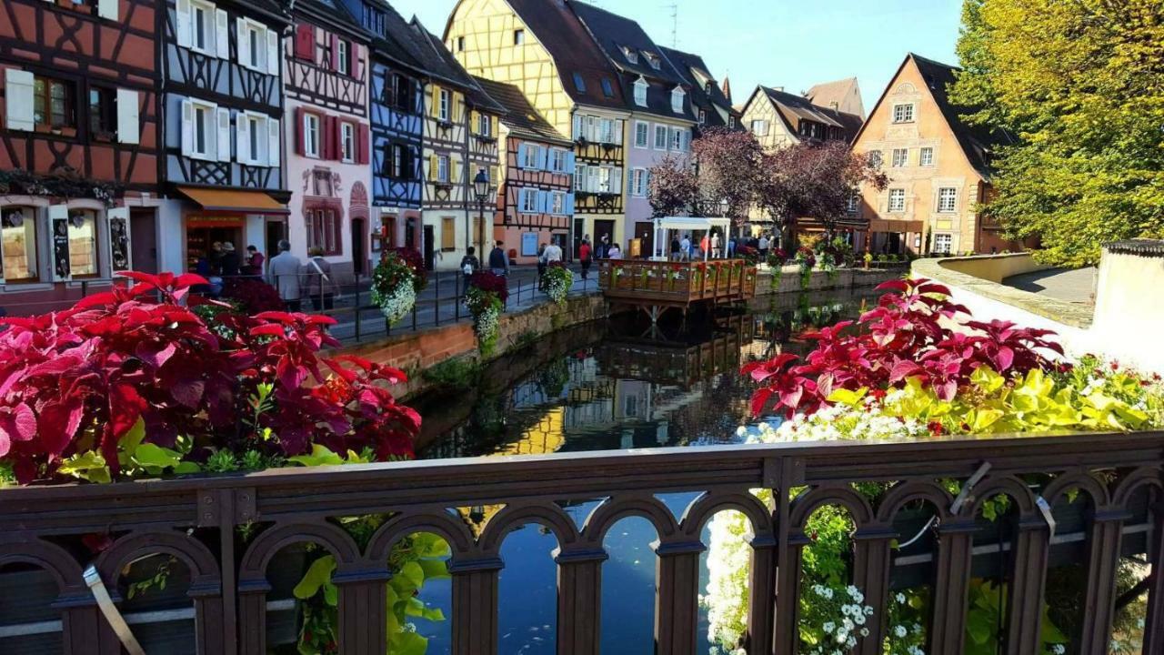 Gîte Au Petit Bonheur Colmar Exterior foto